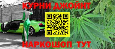 амф Кингисепп