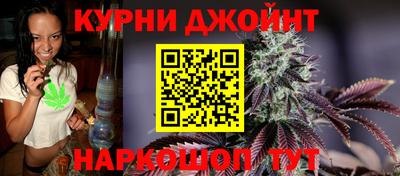 амф Кингисепп