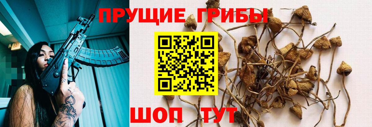 Галлюциногенные грибы мухоморы  Галлюциногенные грибы GOLDEN TEACHER  Бугуруслан  Вход с VPN 