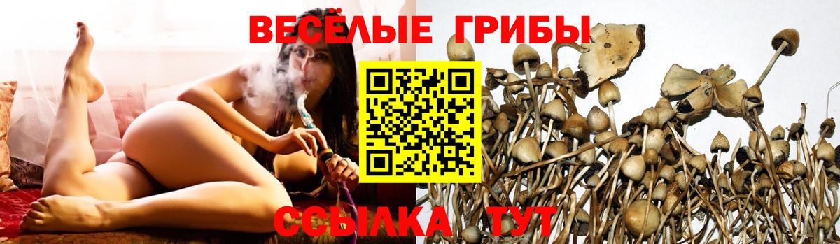 Псилоцибиновые грибы прущие грибы Бугуруслан